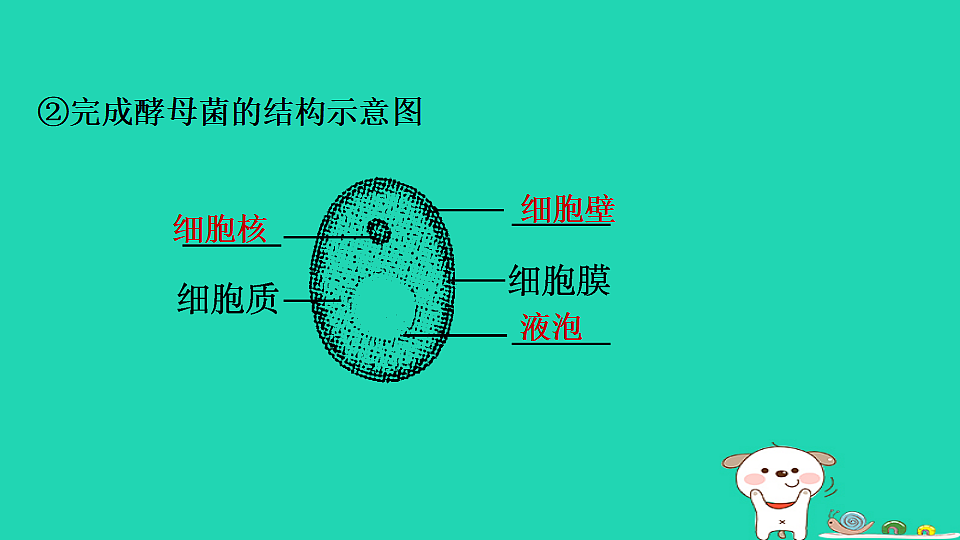 17795233第5页