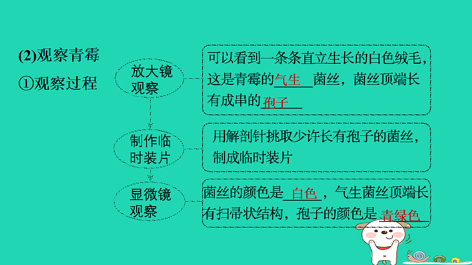 17795233第6页
