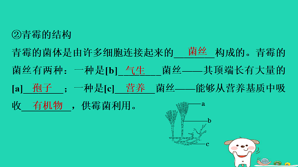 17795233第7页