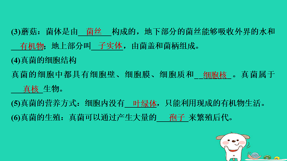 17795233第8页