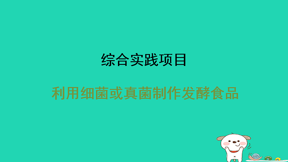 17795236第1页