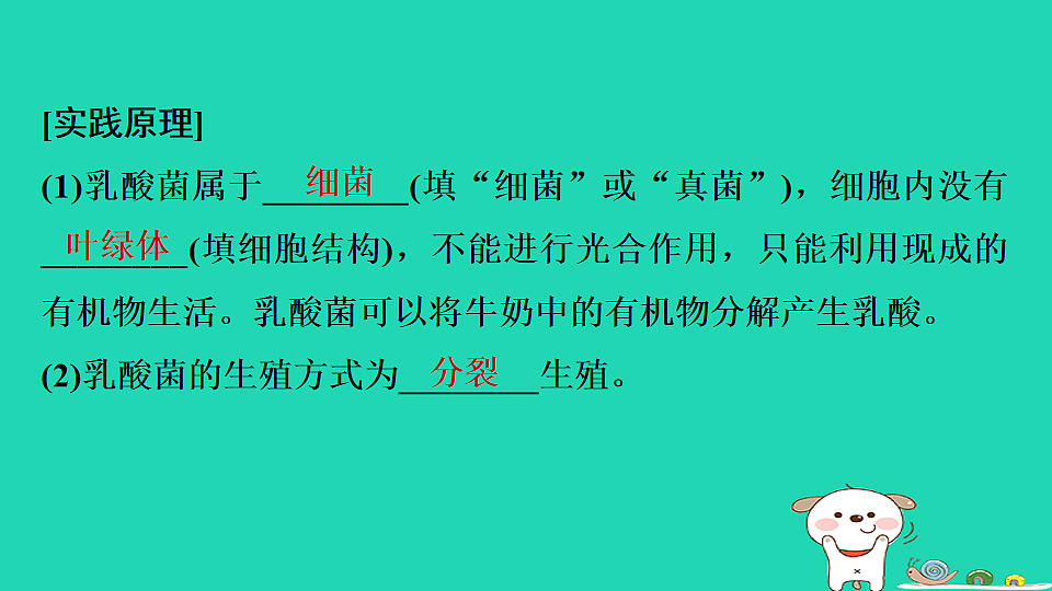 17795236第3页