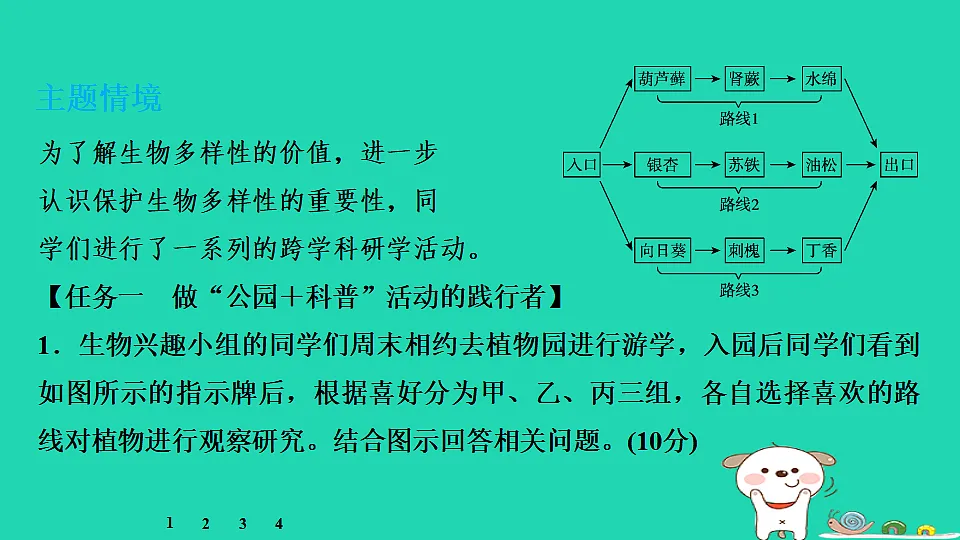17795237第3页