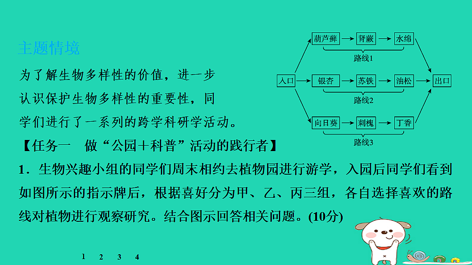 17795237第3页