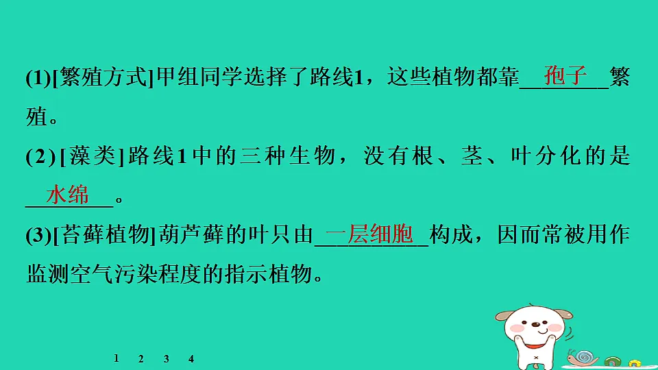 17795237第4页