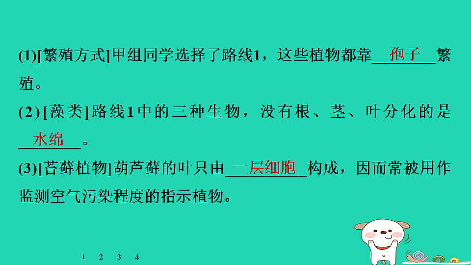 17795237第4页