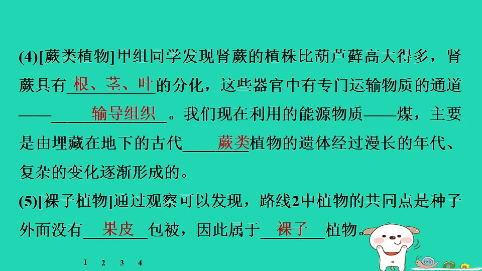 17795237第5页