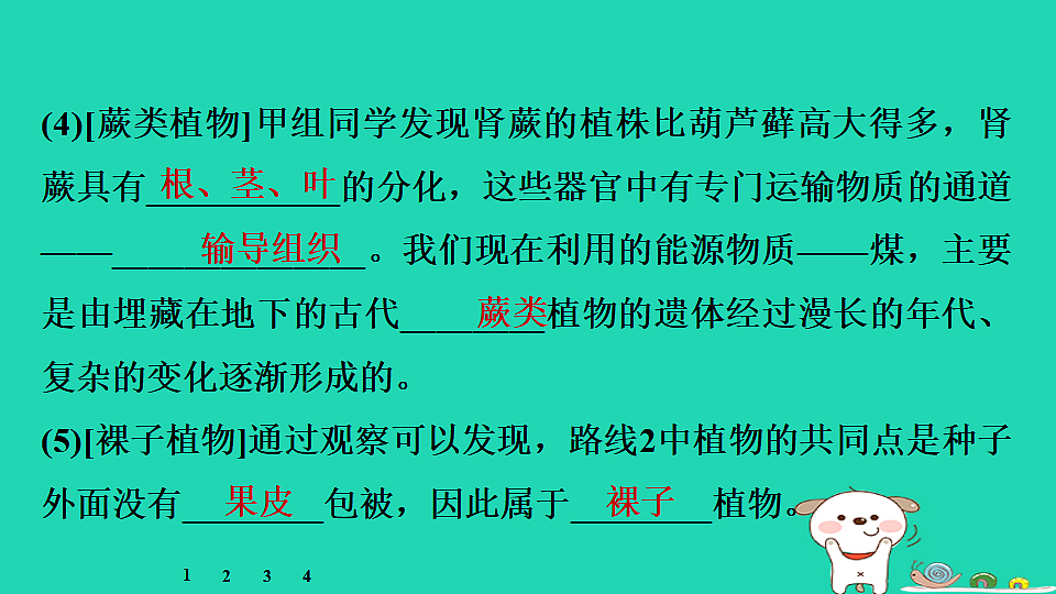 17795237第5页