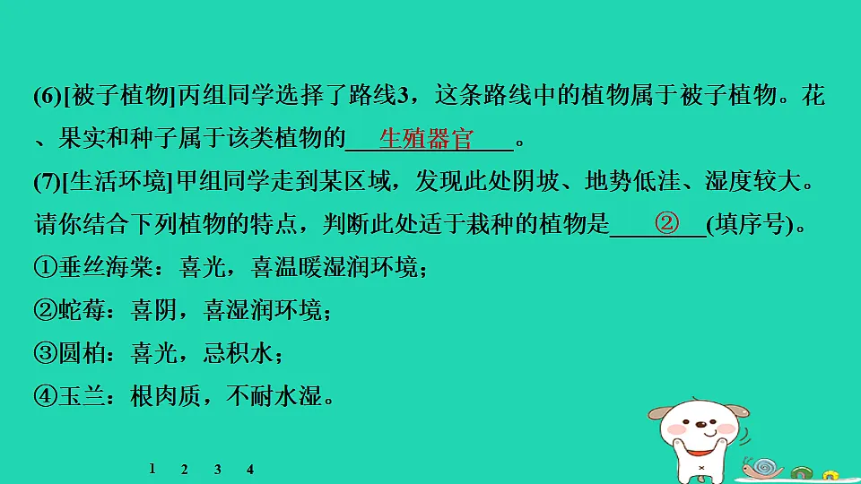 17795237第6页