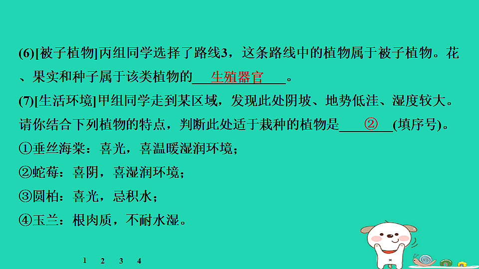 17795237第6页