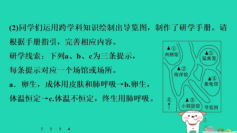 17795237第8页