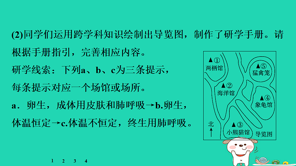 17795237第8页