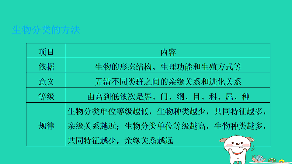 17795238第3页