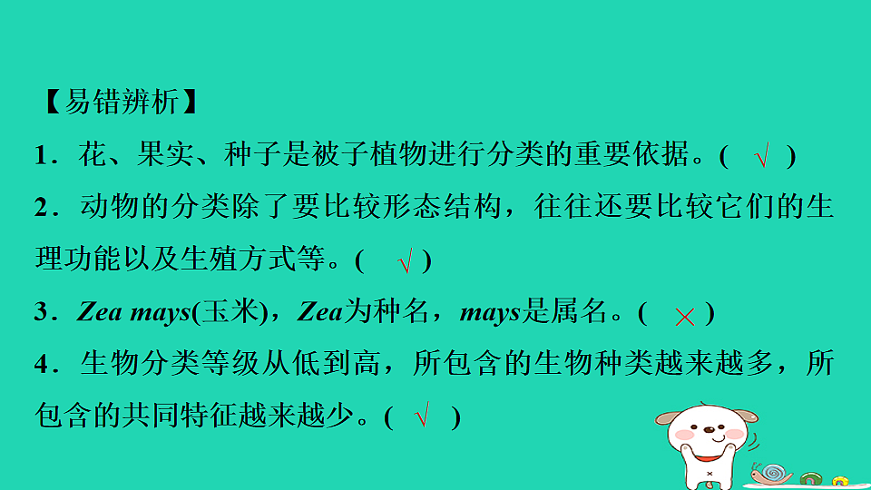 17795238第4页
