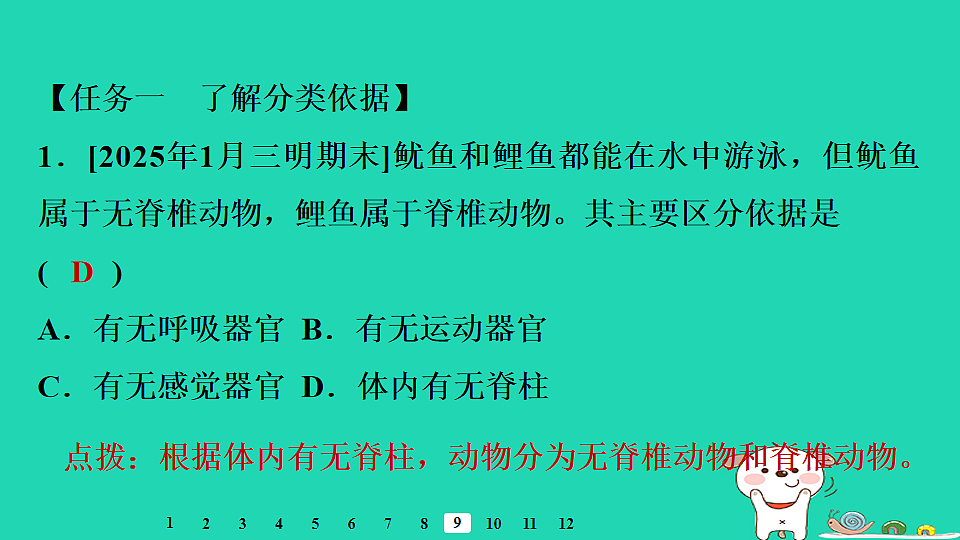17795238第5页