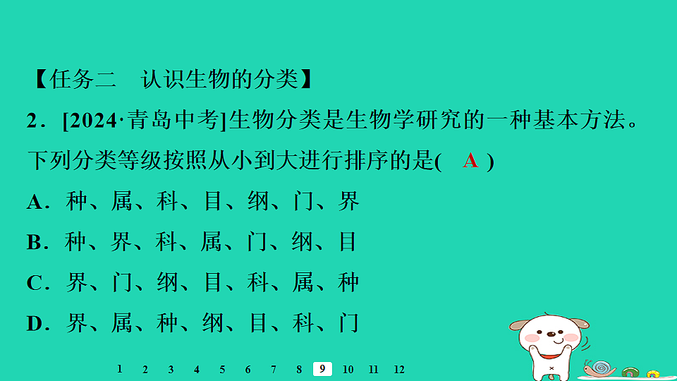 17795238第6页
