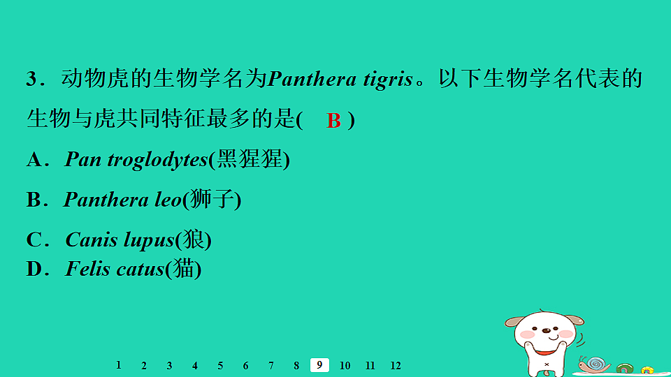 17795238第7页