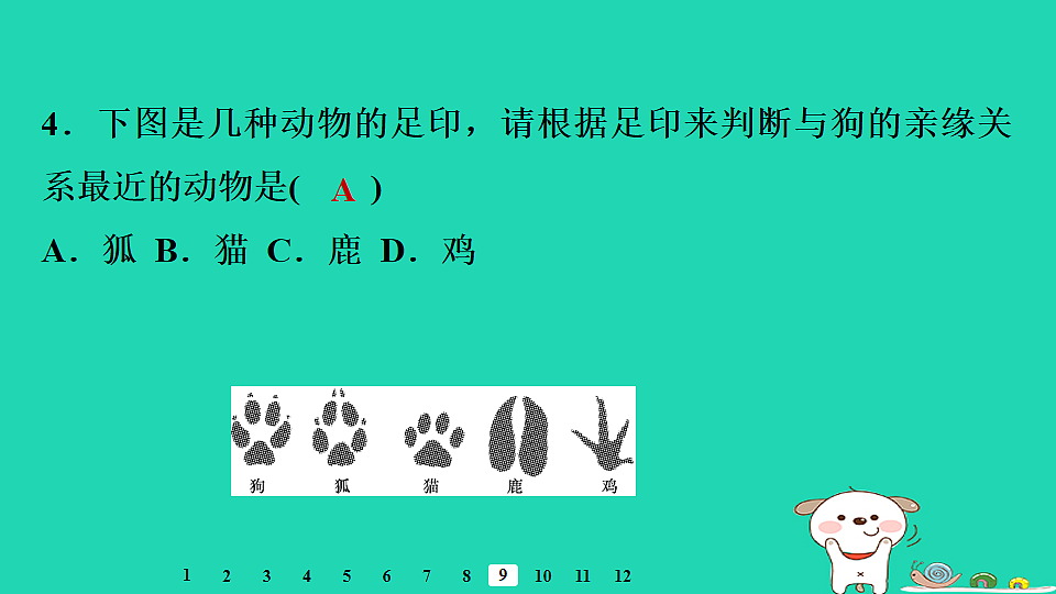 17795238第8页