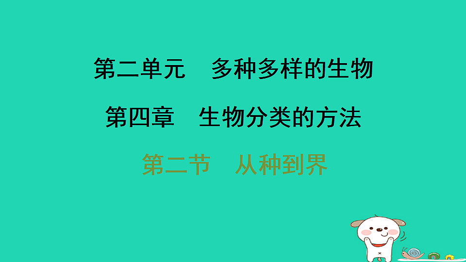 17795239第1页