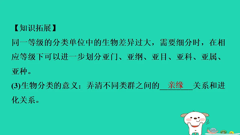 17795239第4页