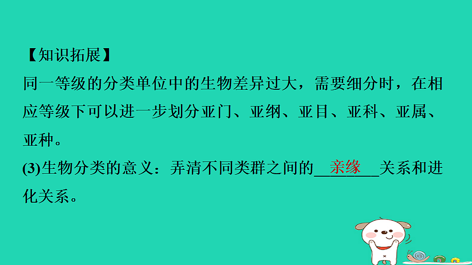 17795239第4页