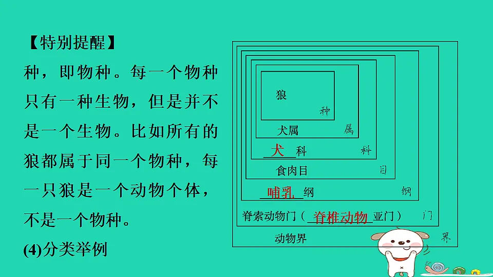 17795239第5页