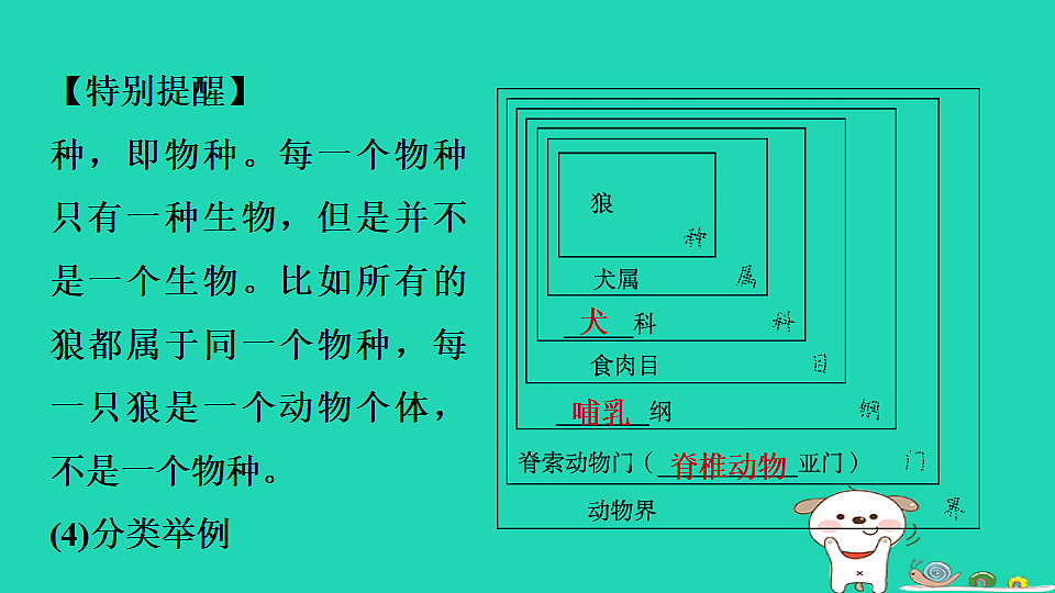 17795239第5页