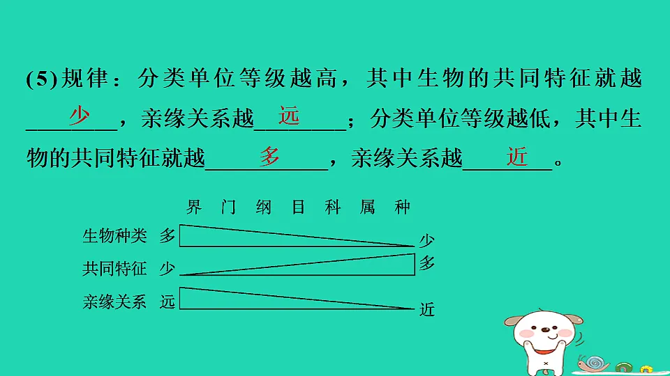 17795239第6页