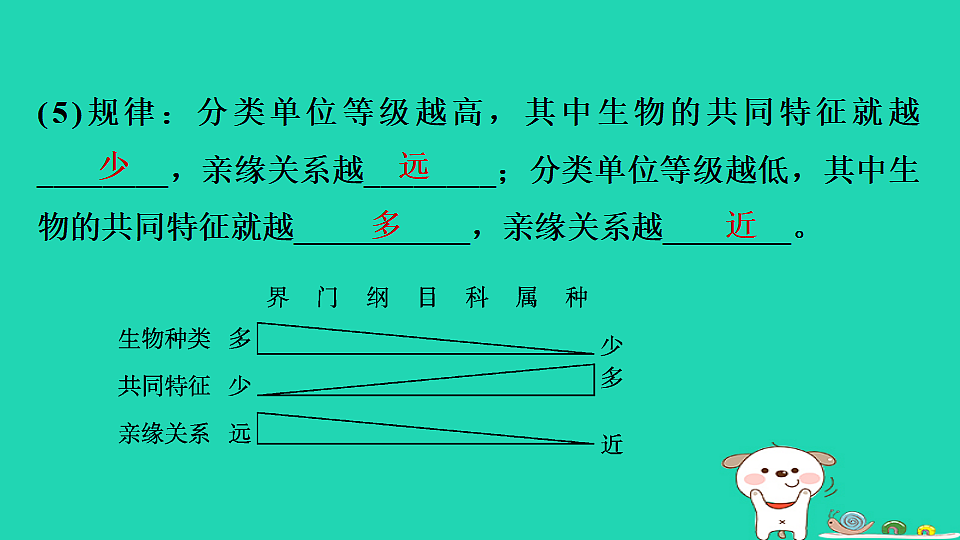 17795239第6页