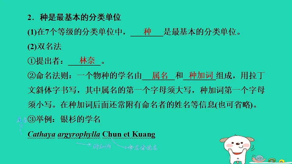 17795239第7页