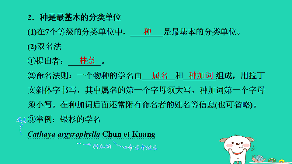17795239第7页