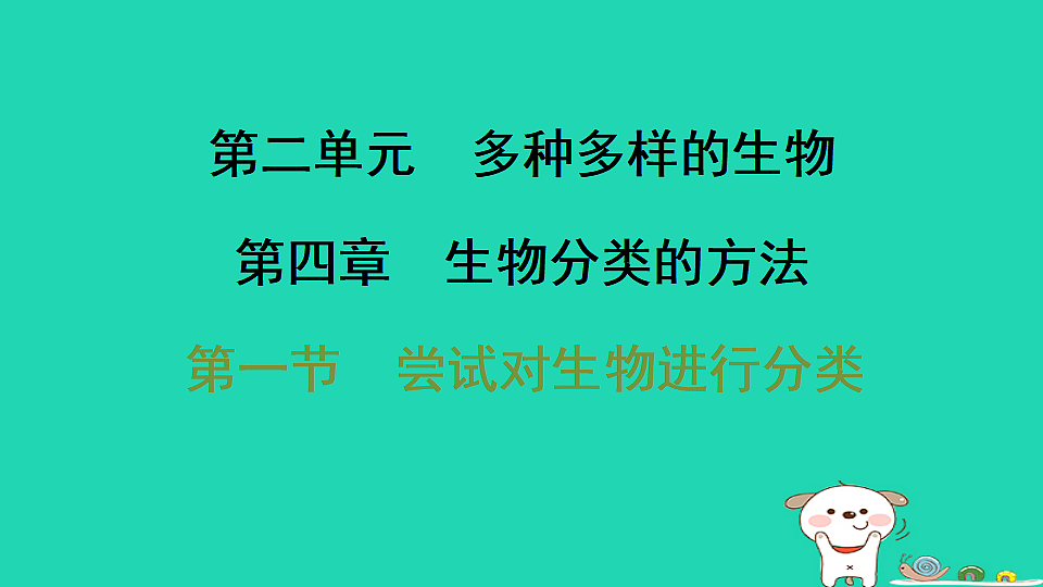 17795240第1页