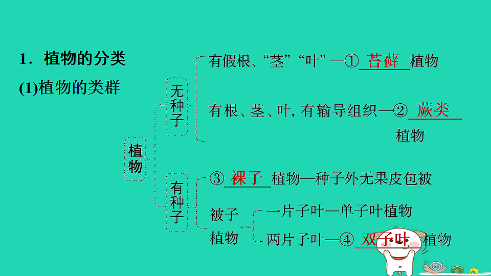 17795240第3页