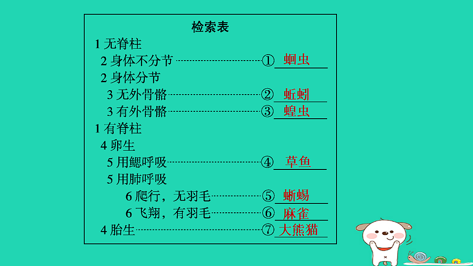 17795240第5页