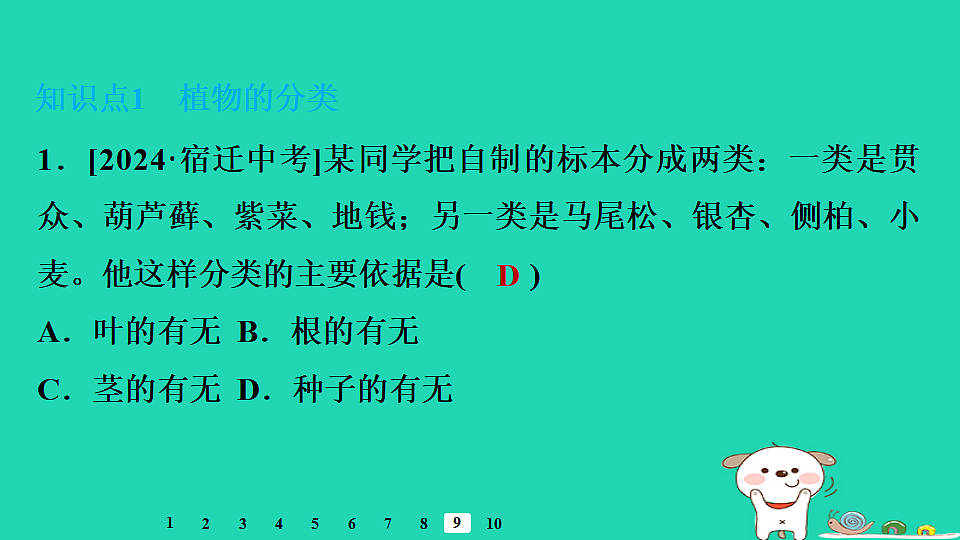 17795240第8页