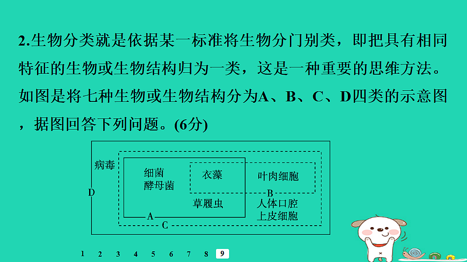 17795241第3页