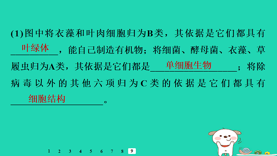 17795241第4页