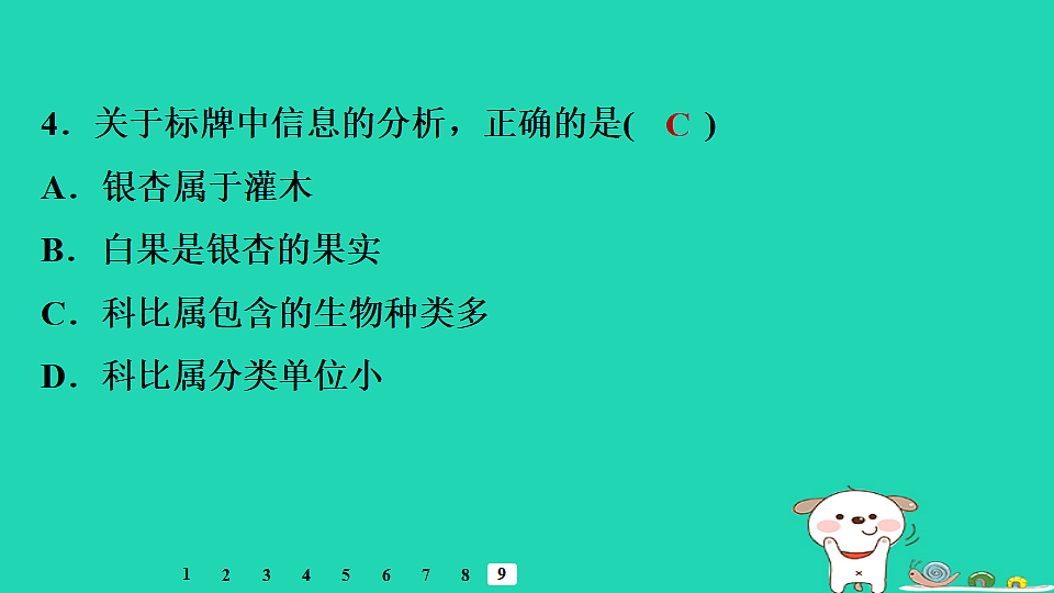 17795241第7页