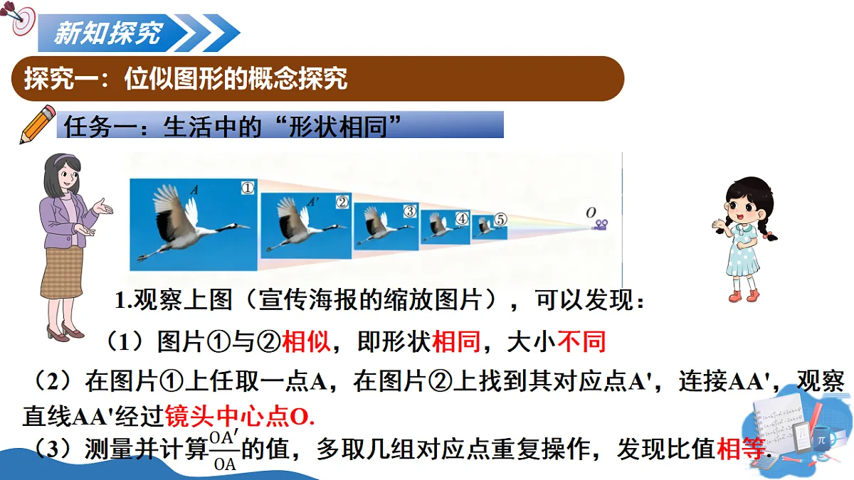 17795562第5页