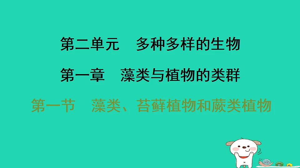 17795709第1页