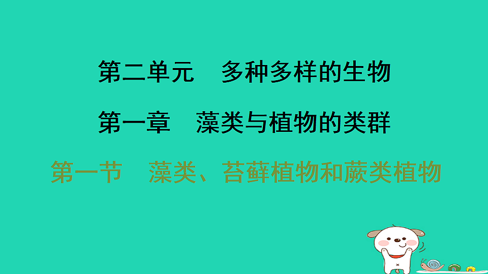 17795709第1页