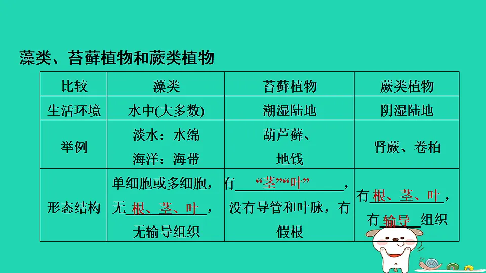 17795709第3页