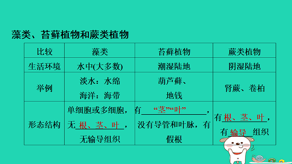 17795709第3页