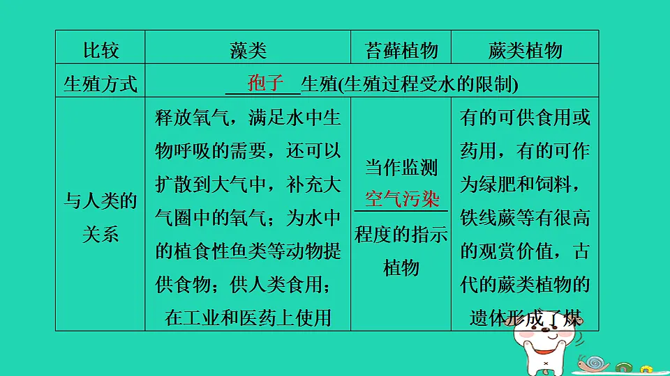 17795709第4页