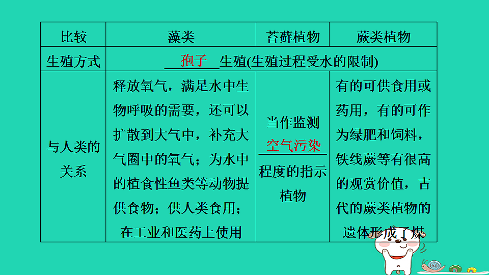 17795709第4页