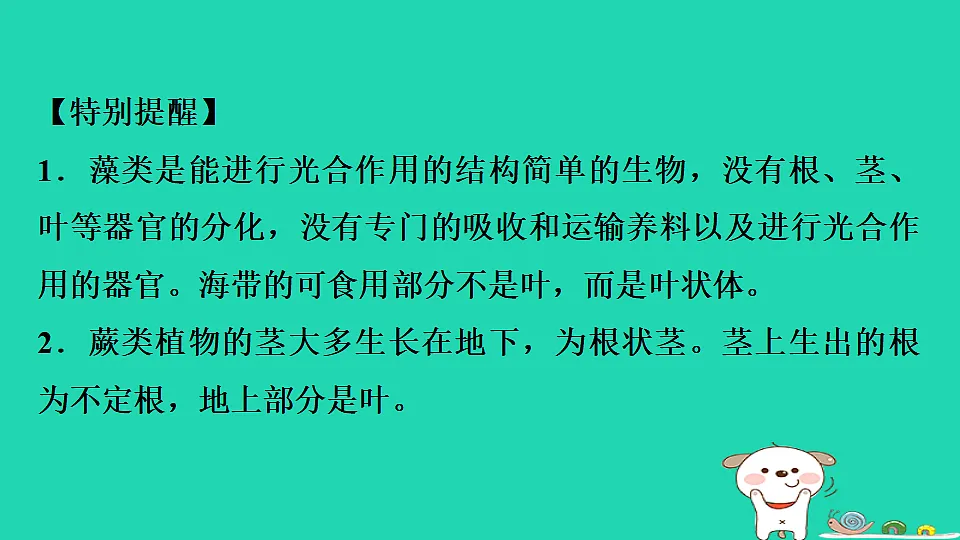 17795709第5页