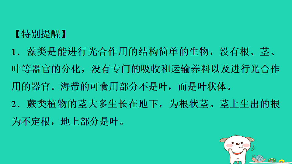 17795709第5页