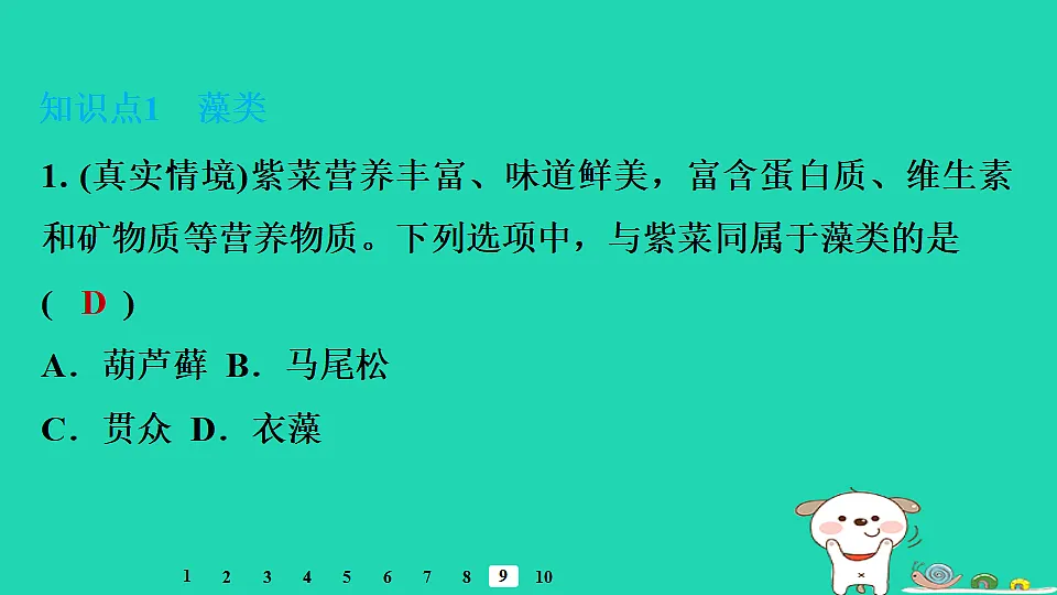 17795709第6页
