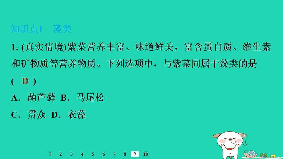 17795709第6页
