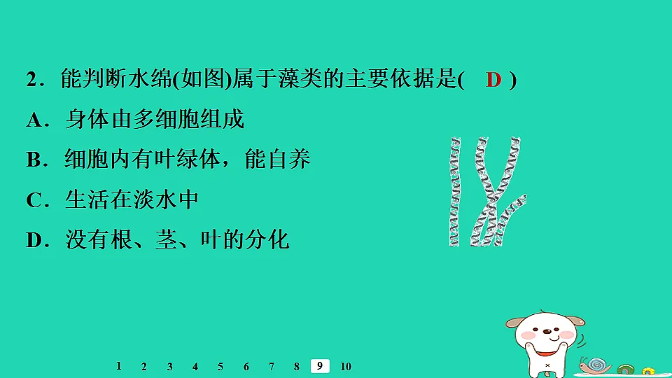 17795709第7页